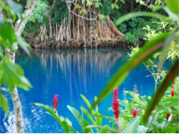 Matevulu Blue Hole